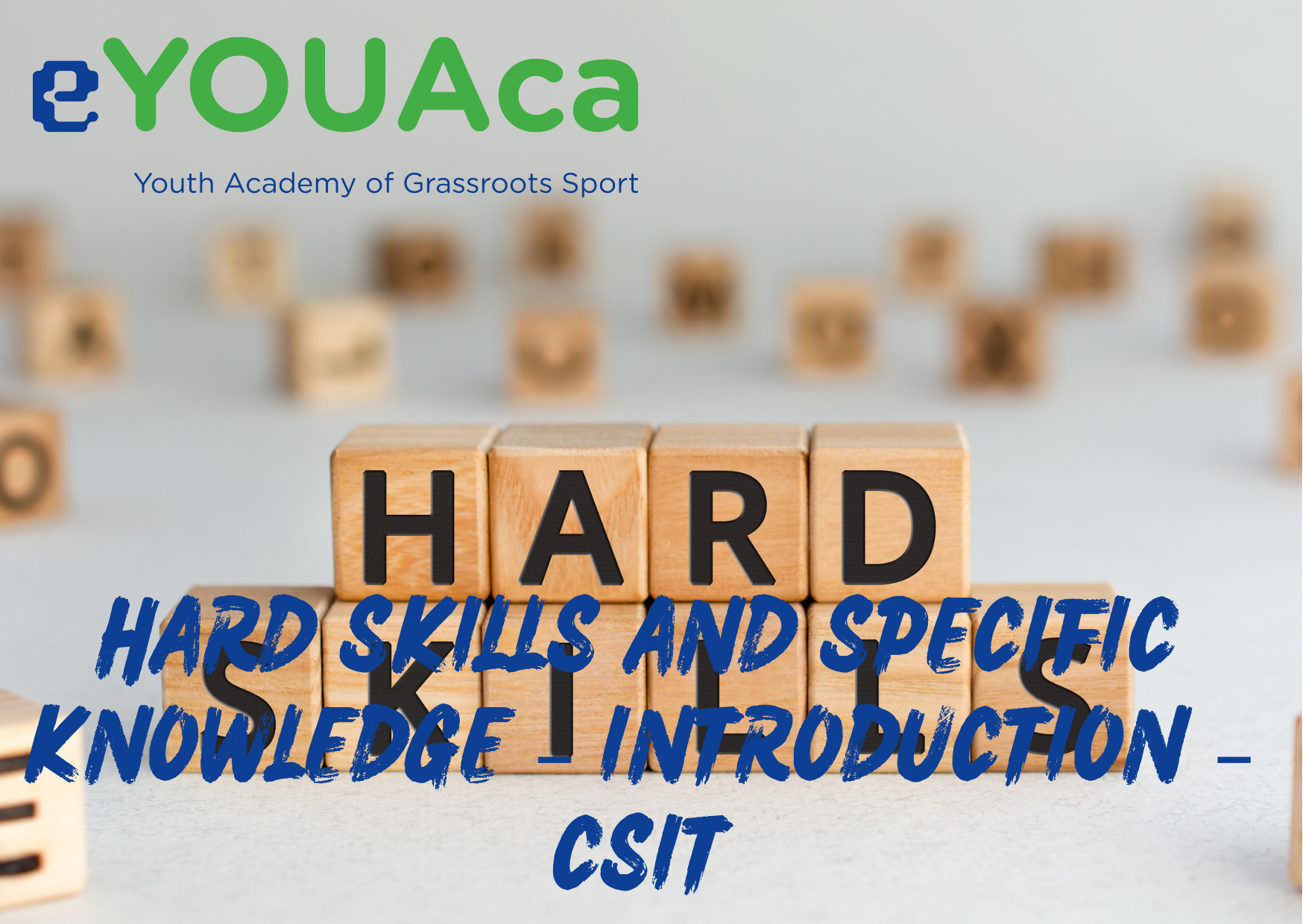 HARD SKILLS AND SPECIFIC KNOWLEDGE – INTRODUCTION – CSIT